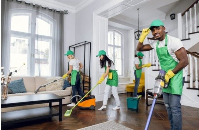 The Cleaning You Need The Cleaning You Need