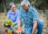 Best Tips To Ensure a Healthy Garden in Your Home Healthy Garden in Your Home