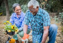 Best Tips To Ensure a Healthy Garden in Your Home Healthy Garden in Your Home