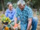 Best Tips To Ensure a Healthy Garden in Your Home Healthy Garden in Your Home