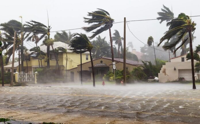 Storm Damage Effectively Storm Damage Effectively