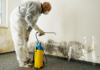 Avoid Long-Term Damage: How A Water Damage Cleanup Company Can Save Your Property? Water Damage Cleanup