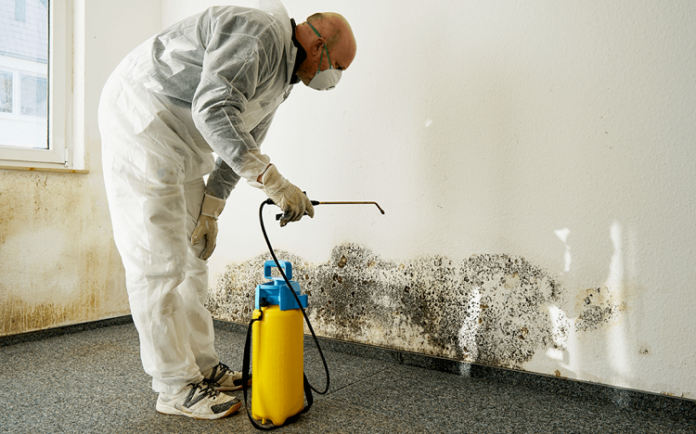 Water Damage Cleanup
